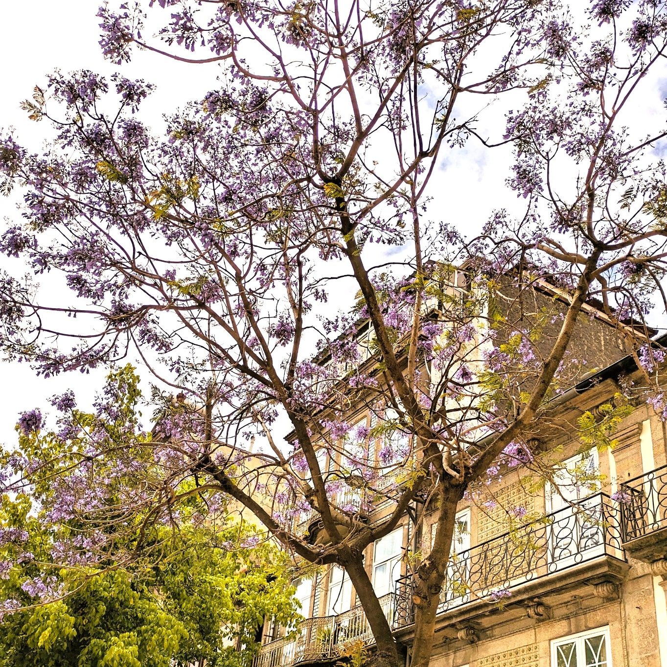 Madeleine Aha - Coaching, Yoga & freie Rednerin